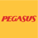 Airline Pegasus Airlines